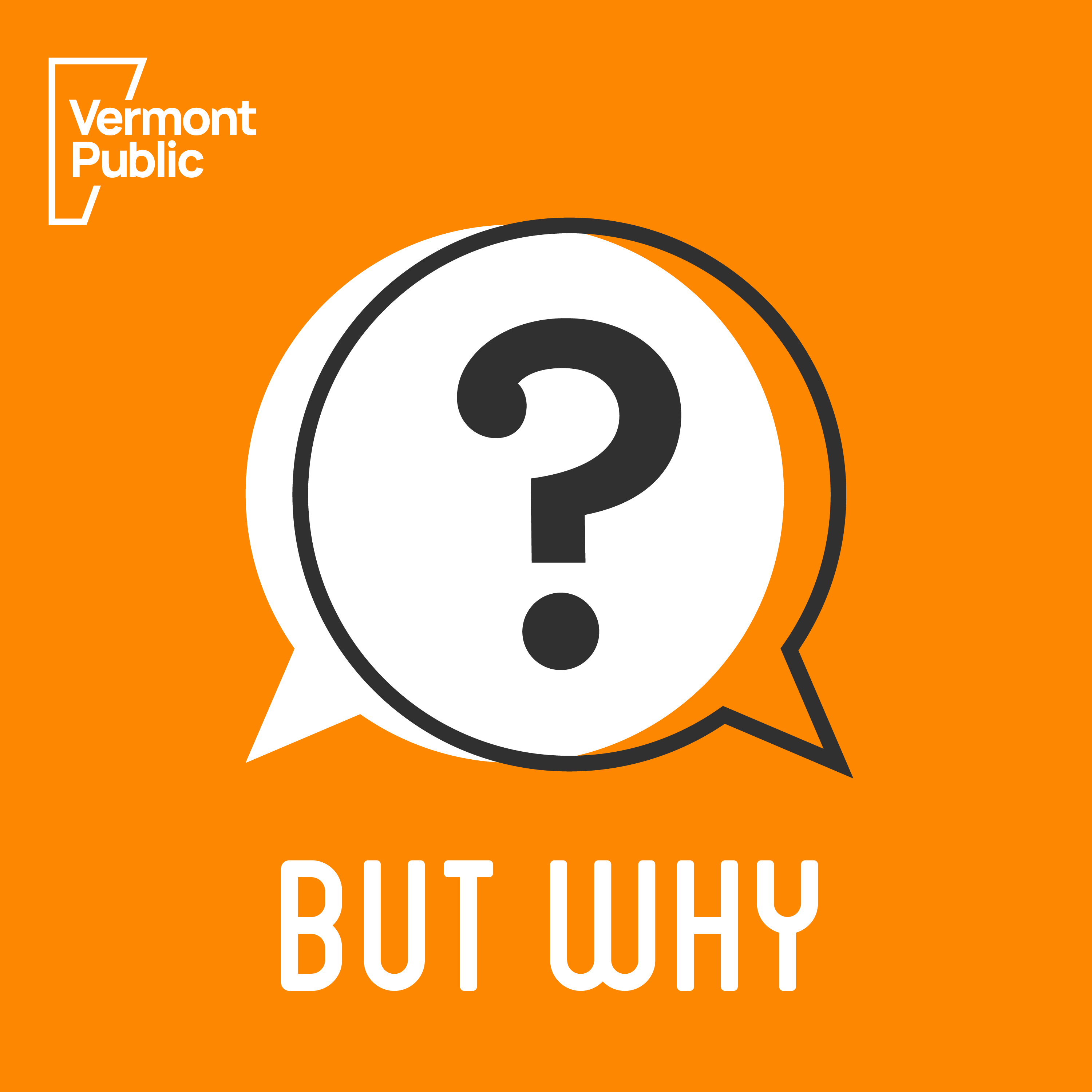 But Why: A Podcast for Curious Kids podcast